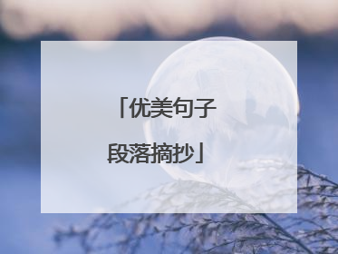 优美句子段落摘抄