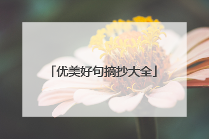 优美好句摘抄大全