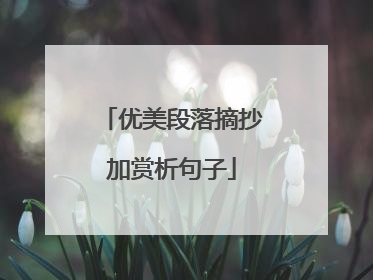 优美段落摘抄加赏析句子