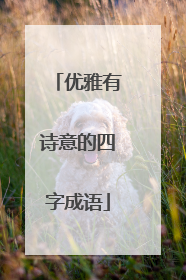 优雅有诗意的四字成语