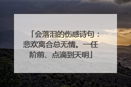会落泪的伤感诗句:悲欢离合总无情。一任阶前、点滴到天明