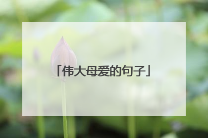 伟大母爱的句子