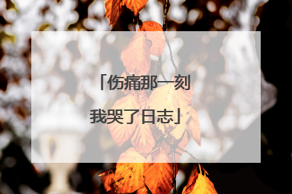 伤痛那一刻我哭了日志