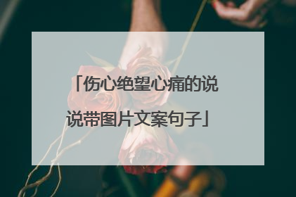 伤心绝望心痛的说说带图片文案句子