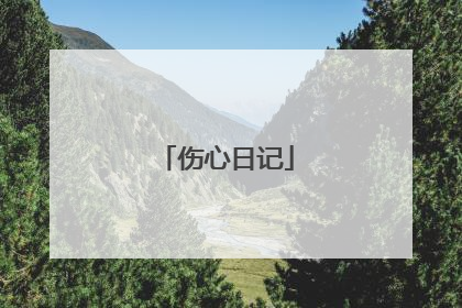 伤心日记
