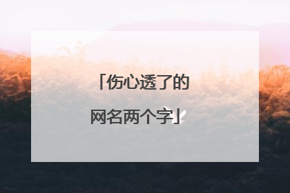 伤心透了的网名两个字