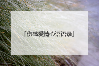 伤感爱情心语语录