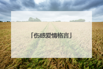伤感爱情格言