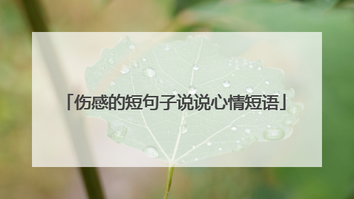 伤感的短句子说说心情短语