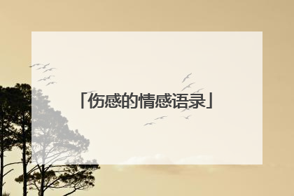 伤感的情感语录