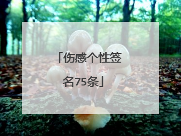 伤感个性签名75条