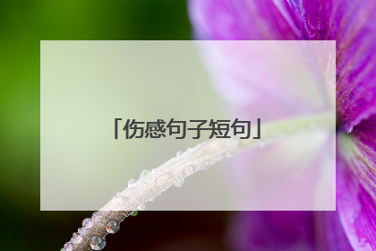 伤感句子短句