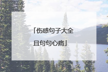 伤感句子大全且句句心痛