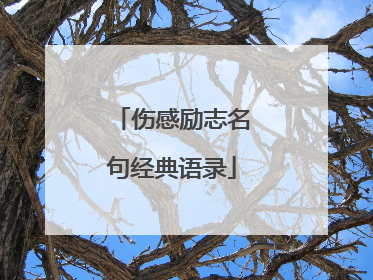 伤感励志名句经典语录