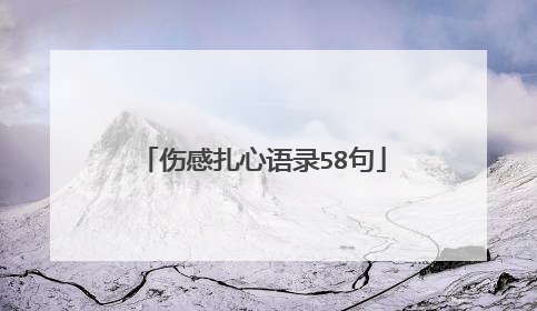 伤感扎心语录58句