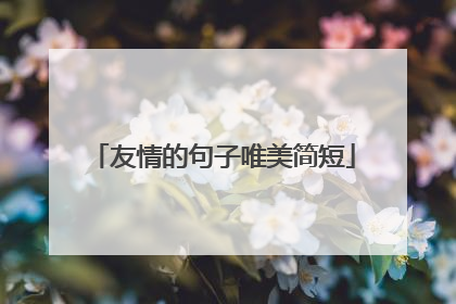 友情的句子唯美简短