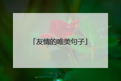 友情的唯美句子