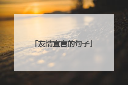 友情宣言的句子