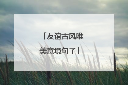 友谊古风唯美意境句子