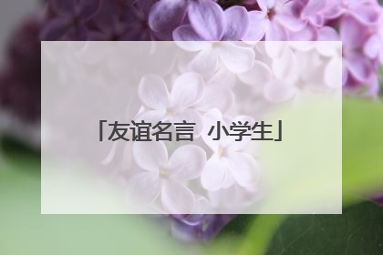 友谊名言 小学生