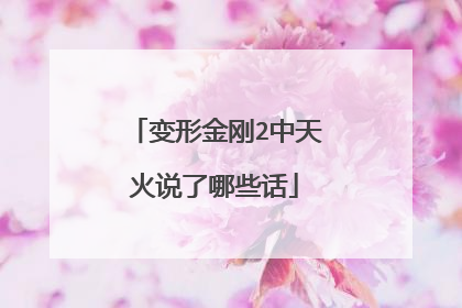 变形金刚2中天火说了哪些话
