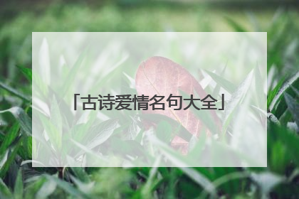 古诗爱情名句大全