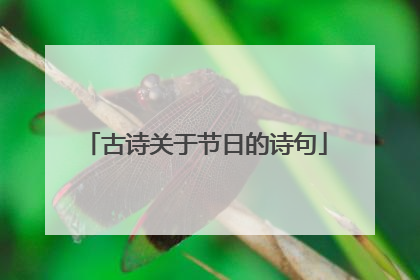 古诗关于节日的诗句
