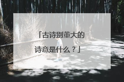 古诗别董大的诗意是什么?