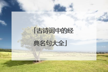 古诗词中的经典名句大全