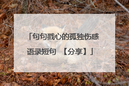 句句戳心的孤独伤感语录短句 【分享】