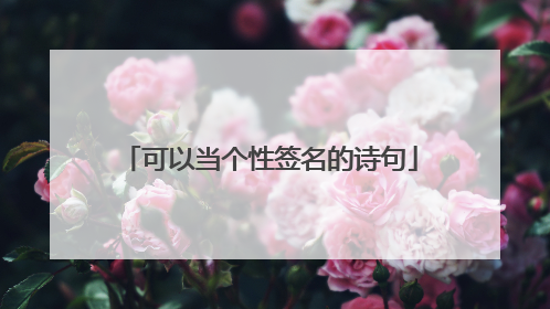 可以当个性签名的诗句