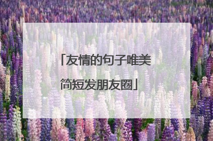 友情的句子唯美简短发朋友圈