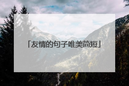 友情的句子唯美简短