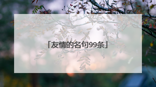 友情的名句99条