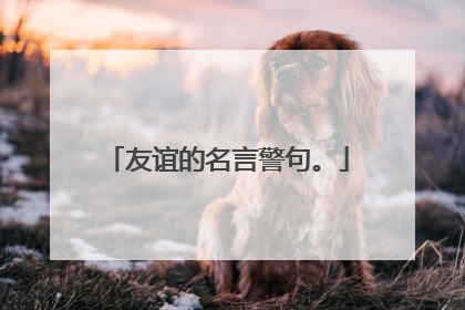 友谊的名言警句。