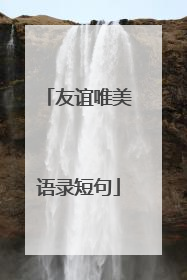 友谊唯美语录短句