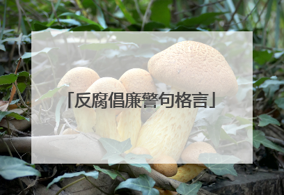 反腐倡廉警句格言