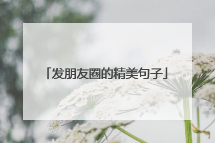 发朋友圈的精美句子