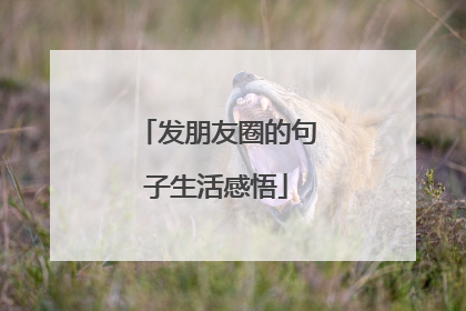 发朋友圈的句子生活感悟