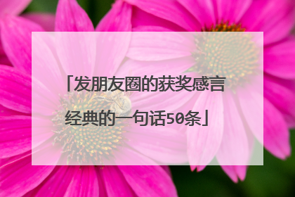 发朋友圈的获奖感言经典的一句话50条
