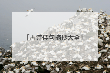 古诗佳句摘抄大全