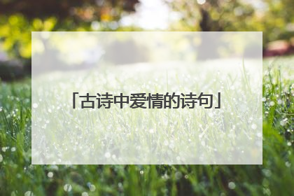 古诗中爱情的诗句