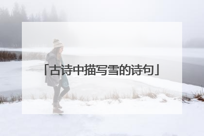 古诗中描写雪的诗句