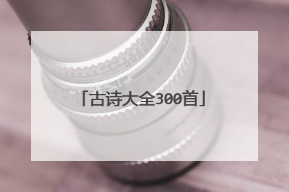 古诗大全300首