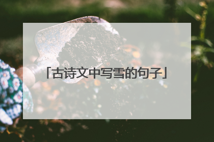 古诗文中写雪的句子