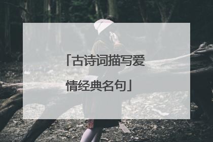 古诗词描写爱情经典名句