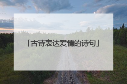 古诗表达爱情的诗句