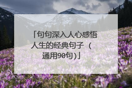 句句深入人心感悟人生的经典句子 (通用90句)