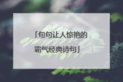 句句让人惊艳的霸气经典诗句