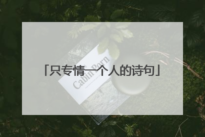 只专情一个人的诗句